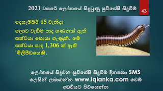 සාමාන්‍ය දැනීම ප්‍රශ්න