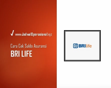 Cara Cek Saldo Asuransi BRI Life