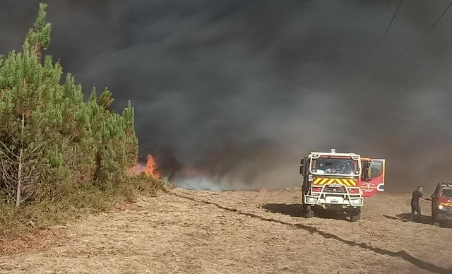 FRANCIA: Un incendio forestal obliga a evacuar a 8,000 personas