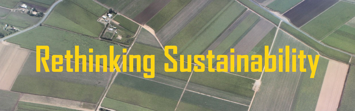 Rethinking Sustainability