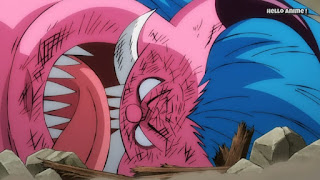 ワンピースアニメ 1002話 ワノ国編 | ONE PIECE 百獣海賊団 ナンバーズ 四鬼 Beast Pirates Numbers