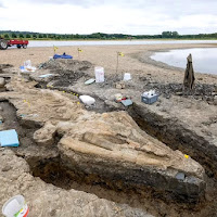 Fosil 'naga laut' terbesar berusia 180 juta tahun ditemukan di UK