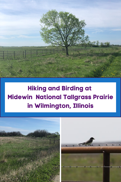 Hiking and Birding at Midewin  National Tallgrass Prairie