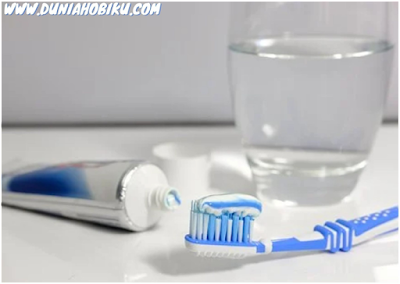 pasta gigi untuk kaca mobl