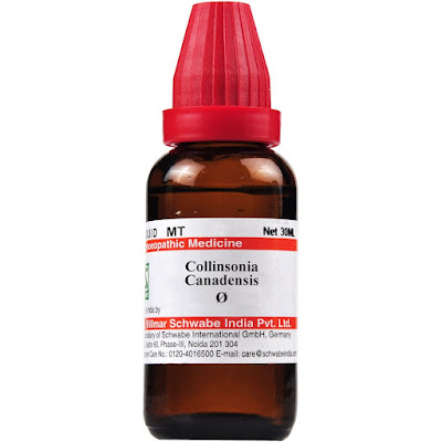 Collinsonia Q homoeopathic medicine mother tincture benefit and uses in hindi