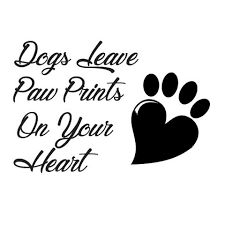 Dog car stickers and decals