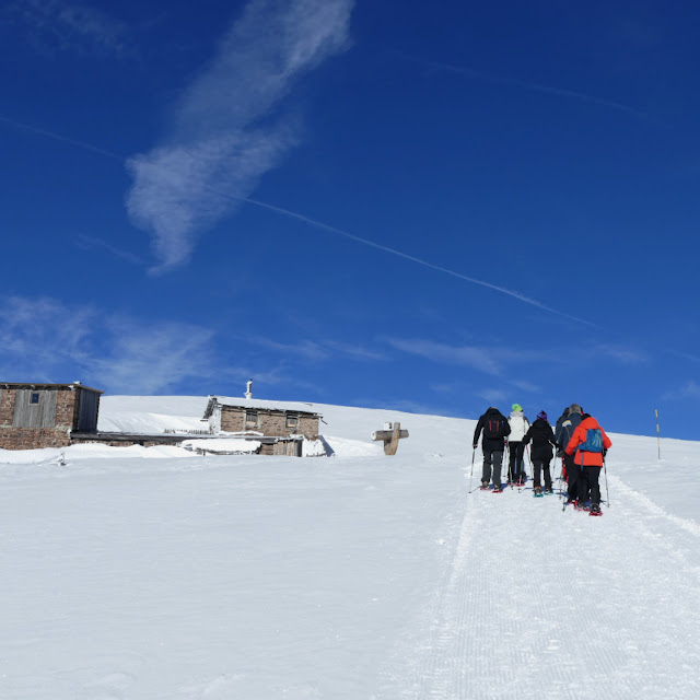 corno del renon premium panorama tour