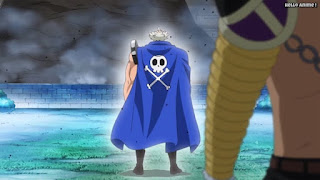 ワンピースアニメ ドレスローザ編 719話 リク王 | ONE PIECE Episode 719