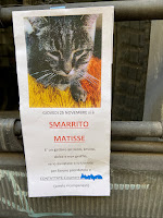 Smarrito Matisse - Lost cat poster