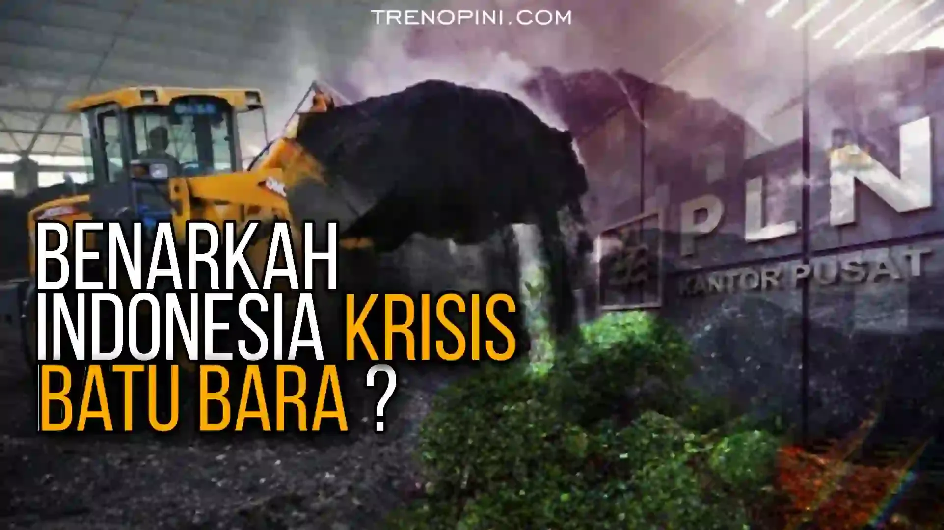 faktor mendasarnya bukan menipisnya eksplorasi Batubara. Akan tetapi, karena pengelolaan oleh swasta, serta memberi peluang mengekspor karena disparitas harga. Meskipun terjadi perombakan manajemen pada PLN dan peta jalan menuju energi tetap saja hal itu bukan solusi melainkan akan berdampak pada krisis energi yang berkepanjangan.