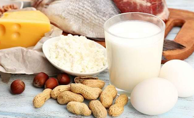 Makanan Mengandung Protein Tinggi