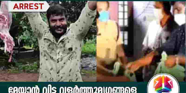 മേയാന്‍ വിട്ട വളര്‍ത്തുമൃഗങ്ങളെ കൊന്ന് ഇറച്ചിയാക്കിയെന്ന കേസ്; യുട്യൂബറും സംഘവും അറസ്റ്റില്‍