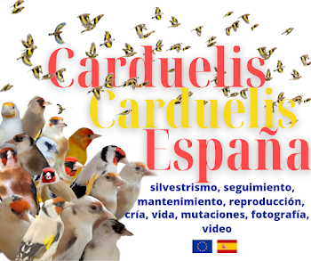 Carduelis Carduelis España - Facebook