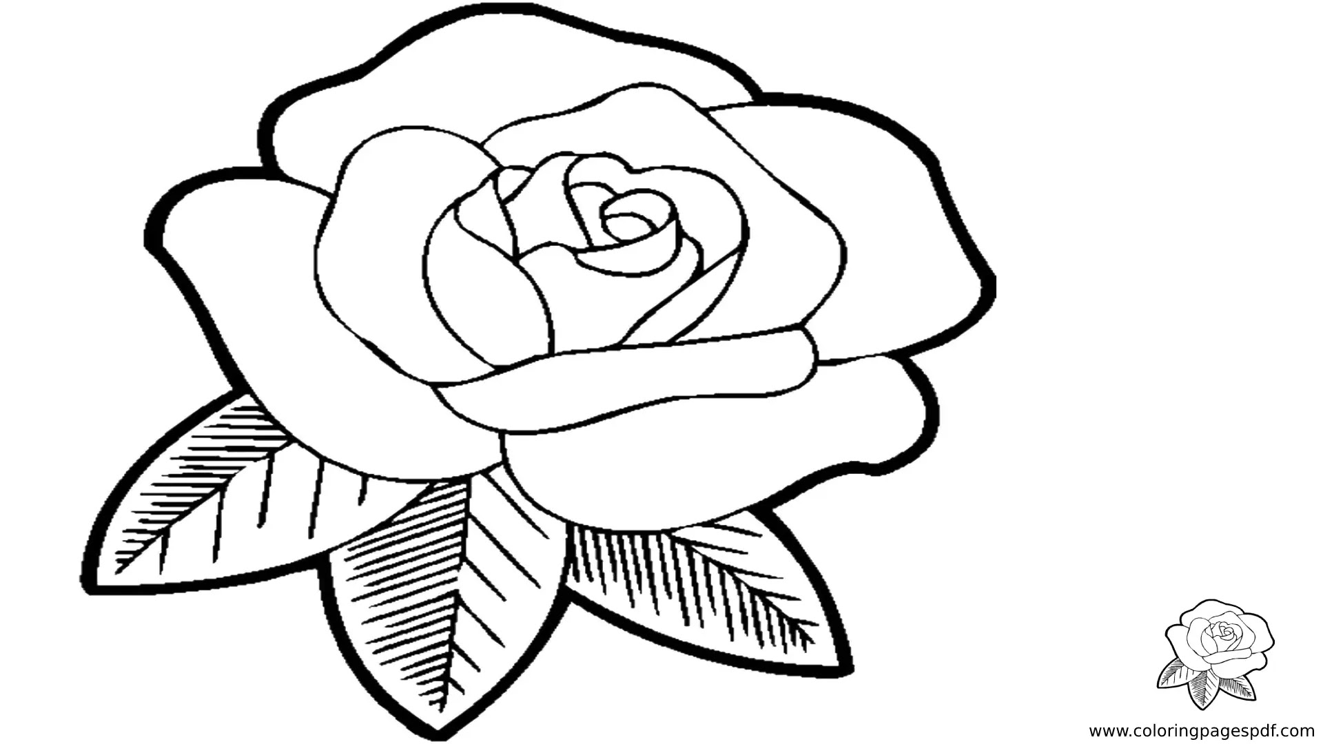 Coloring Pages Of A Simple Rose