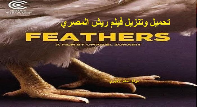 فيلم ريش المصري Feathers الجديد