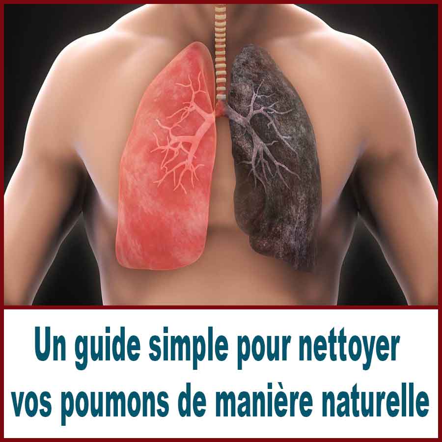 Un guide simple pour nettoyer vos poumons de manière naturelle