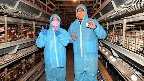 王惠美關心雞蛋產業 參訪佳縈畜牧場了解雞糞處理