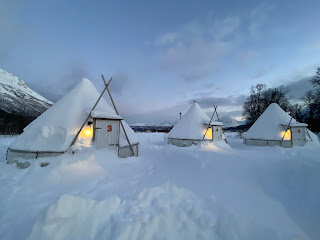 Breivikedet, zona Tromso, ferma de Husky