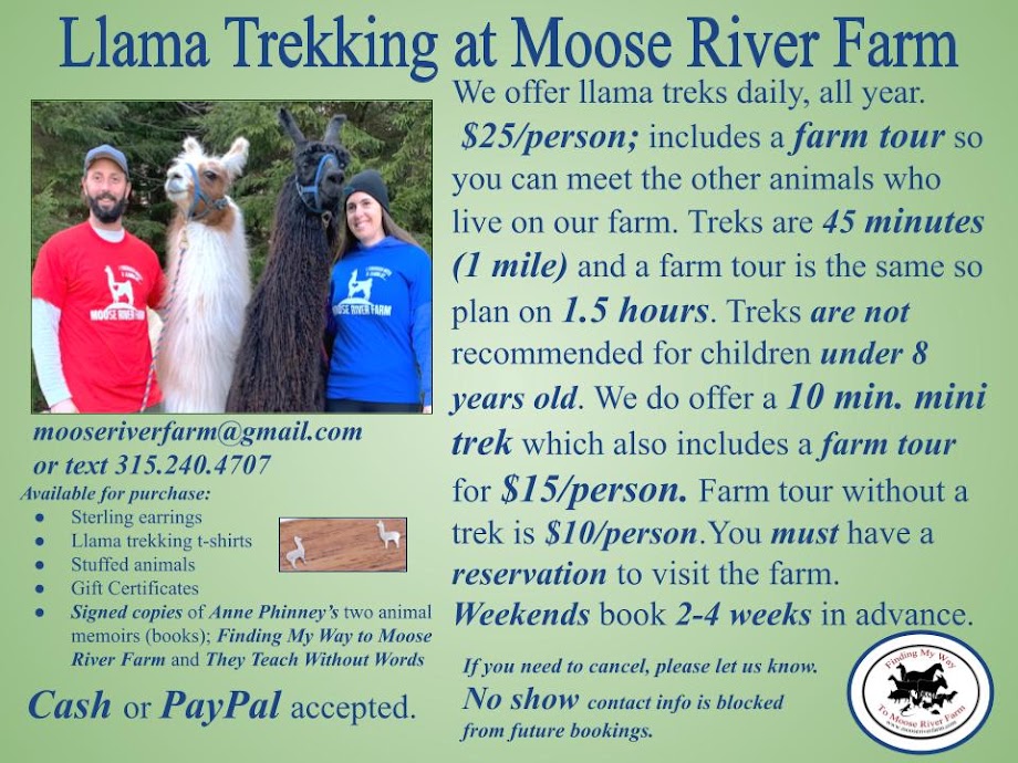 Llama Trekking at Moose River Farm