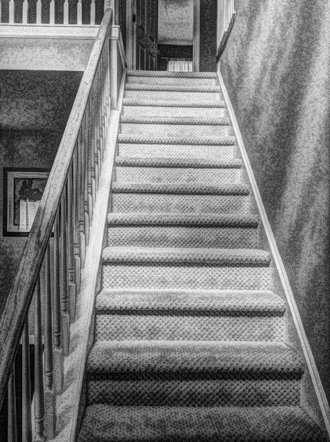 Black and White Filter stairs edited Free picture