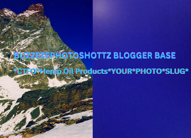 BUZZEZEPHOTOSHOTTZ BLOGGER BASE