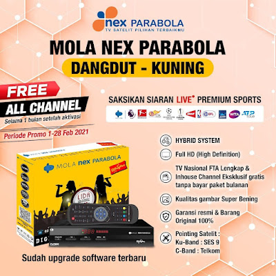 Receiver Mola Nex Parabola Dus Kuning