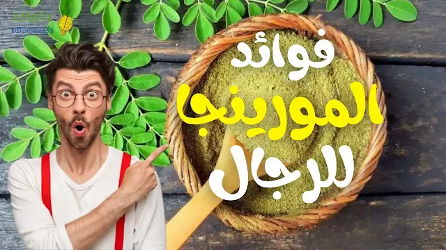 فوائد المورينجا المذهلة للرجال