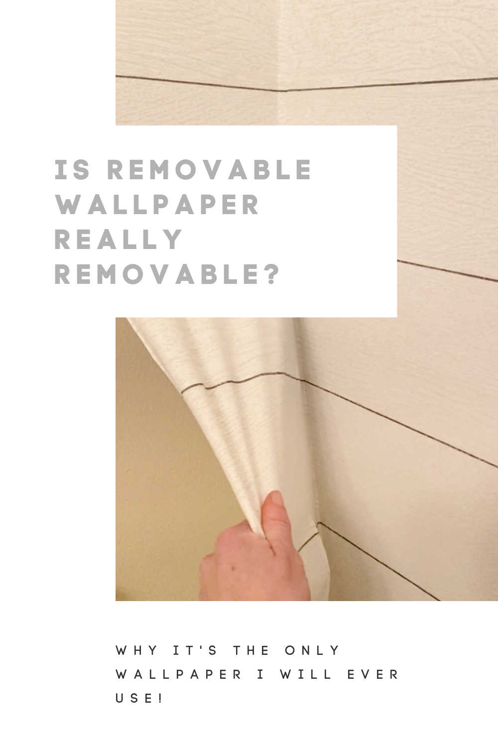 removable wallpaper