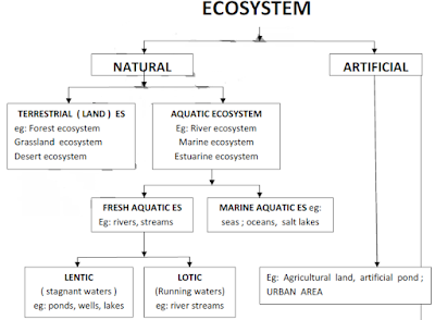 Different Types of Ecosystem of Biosphere Artificially Categorized