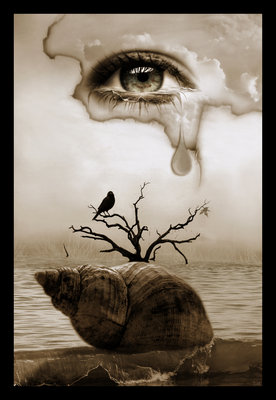 صورة