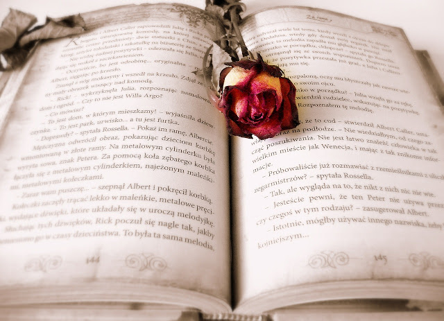 rose on an open book