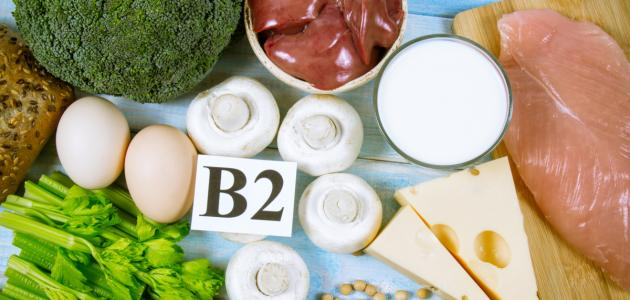 Vitamin B2 Food Source | Nutriblog