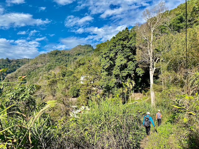 黑田山南峰下山途中