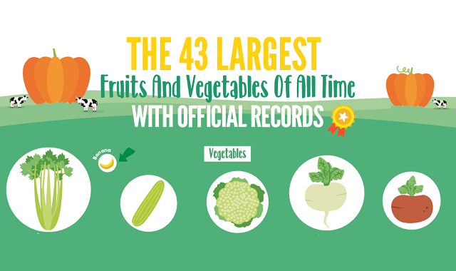 The 43 Largest Fruits and Vegetables of All Time