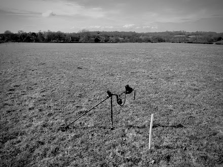 Field work 4