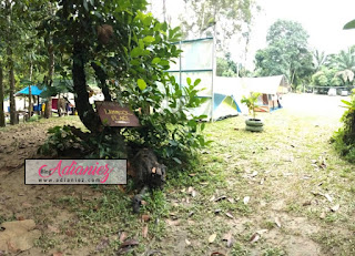 Family Camping 4 hari 3 malam di Riverside Camp, Gopeng | Jatuh cinta!