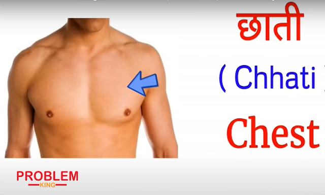 Human Body Parts Name Hindi & English with Pictures