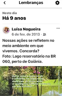 O verde da mata refletido no lago