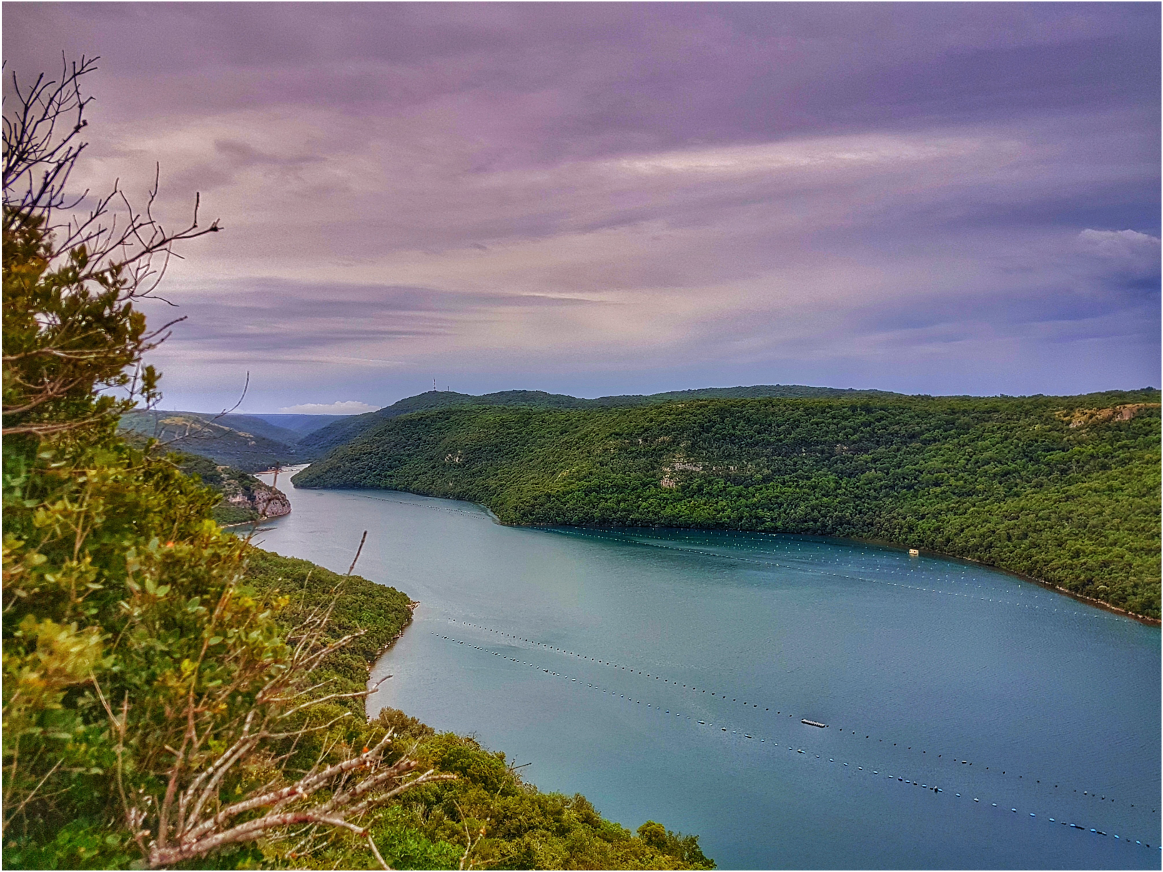 Lim Fjord | Private & Shared boat tours Istria!