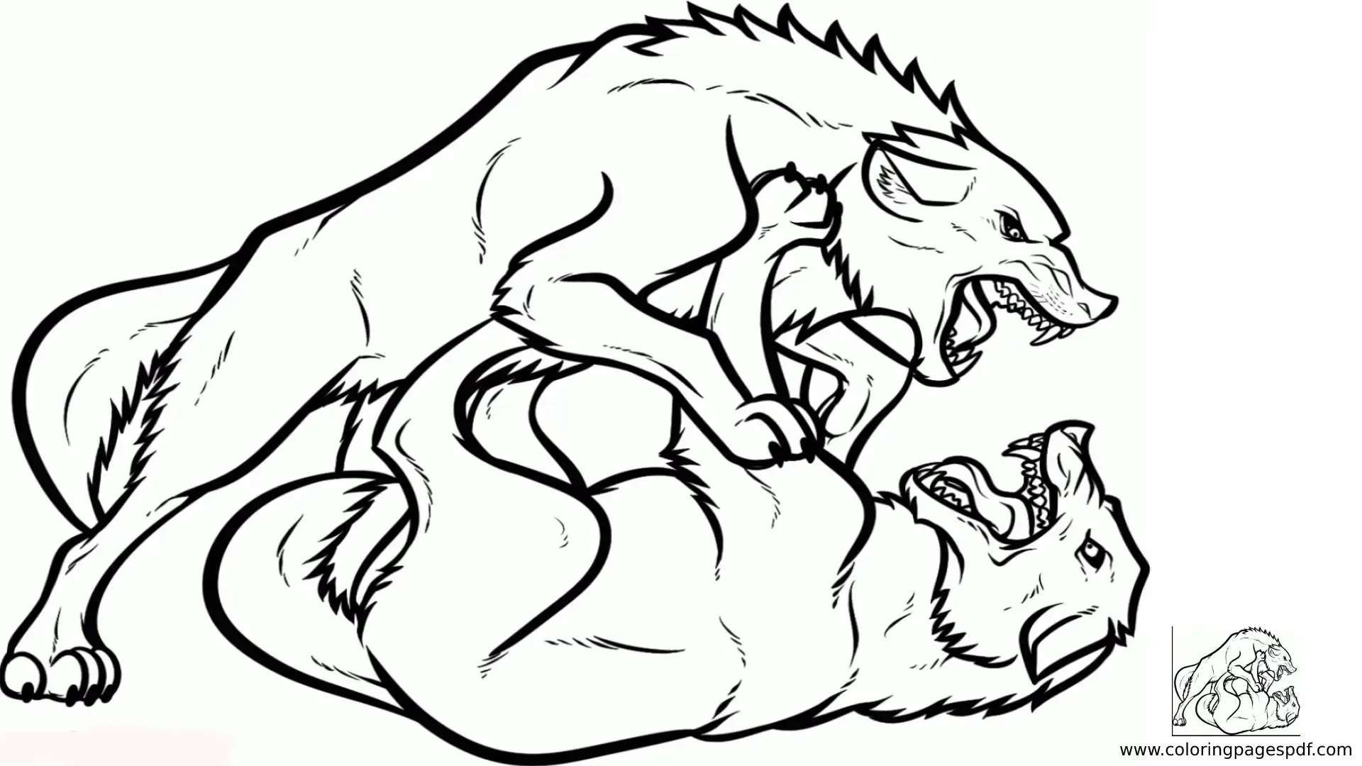 Coloring Pages Of Two Wolves Fighting
