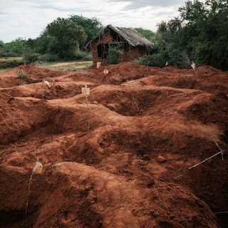 Hundreds were drawn to a remote wilderness in southeastern Kenya by the End Times preaching of pastor Paul Mackenzie. Relatives and ex-members tried to intervene, but some did not want to be rescued.