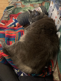 A silver gray tabby cat asleep on a barely seen piece of brightly coloured striped garter stitch knitting, with her head resting on a skein of dark gray yarn. The knitting she is on isn't identifiable so little of it peeks out from under the sleeping cat.