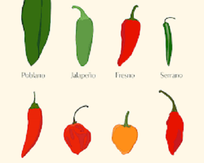 Hot peppers