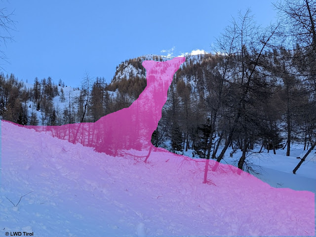 Die Lawine löste sich weit oberhalb der Gruppe im schattigen, extrem steilen Gelände. (Foto: 05.02.2022)