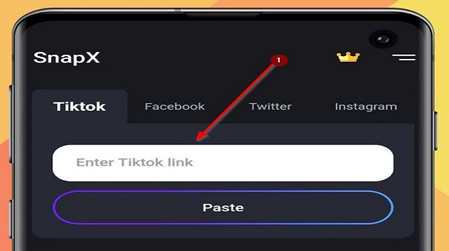 Aplikasi Download Video TikTok Tanpa Watermark