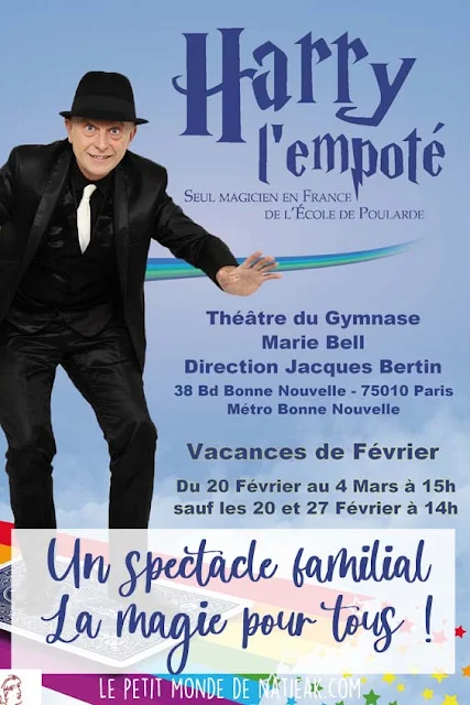 avis sur le spectacle famille Harry l'empoté