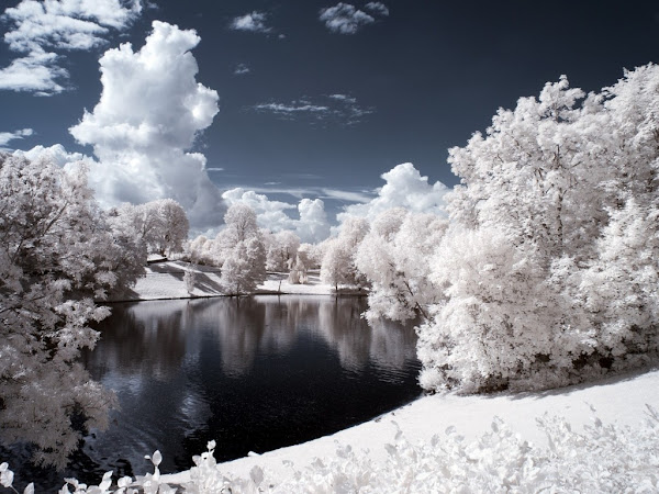 Predivan zimski krajolik besplatne pozadine za desktop 1024x768 free download