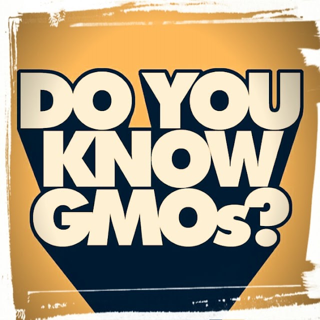 The benefits of genetic modified organisms? 
