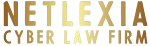 Cyber Crime Advocates in Chennai | NetLex Cyber Law Firm