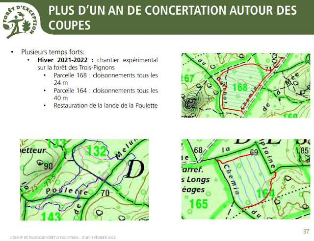 Carte des expérimentations dans les coupes des trois pignons